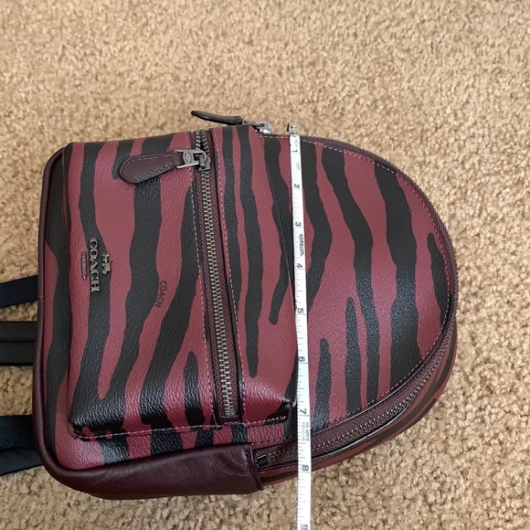 Coach - Picture 11 of 15